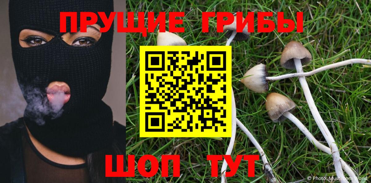 Галлюциногенные грибы MAGIC MUSHROOMS  Вход с VPN  купить  цена  Саратов 